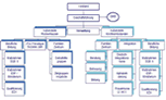 Organigramm FID